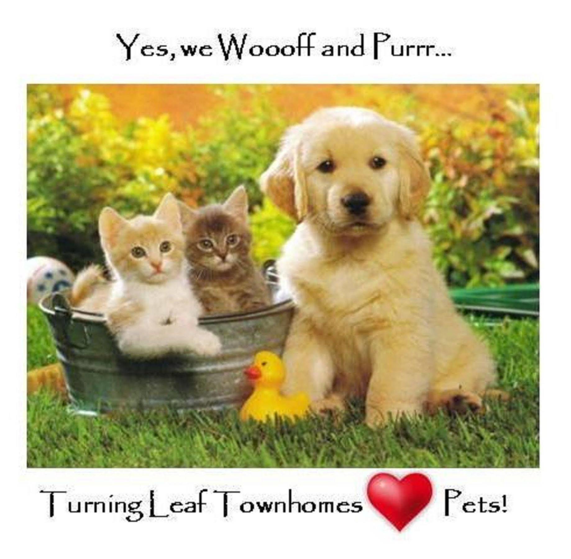 Turning Leaf Townhome Suites Fairwood Екстериор снимка